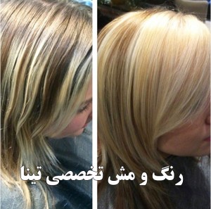 مرکز تخصصی رنگ و مش کرج